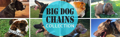 BIG DOG CHAINS | OFFICIAL WEBSITE LAUNCH