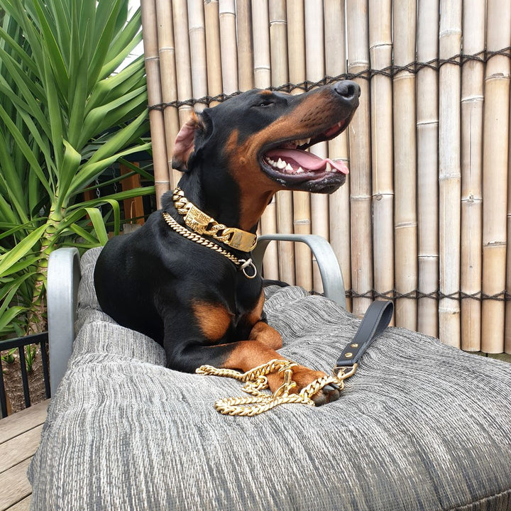 Miami Leash 44 Inch Gold Cuban Link Premium Leather Handle Luxury Lead for Dogs - BIG DOG CHAINS®