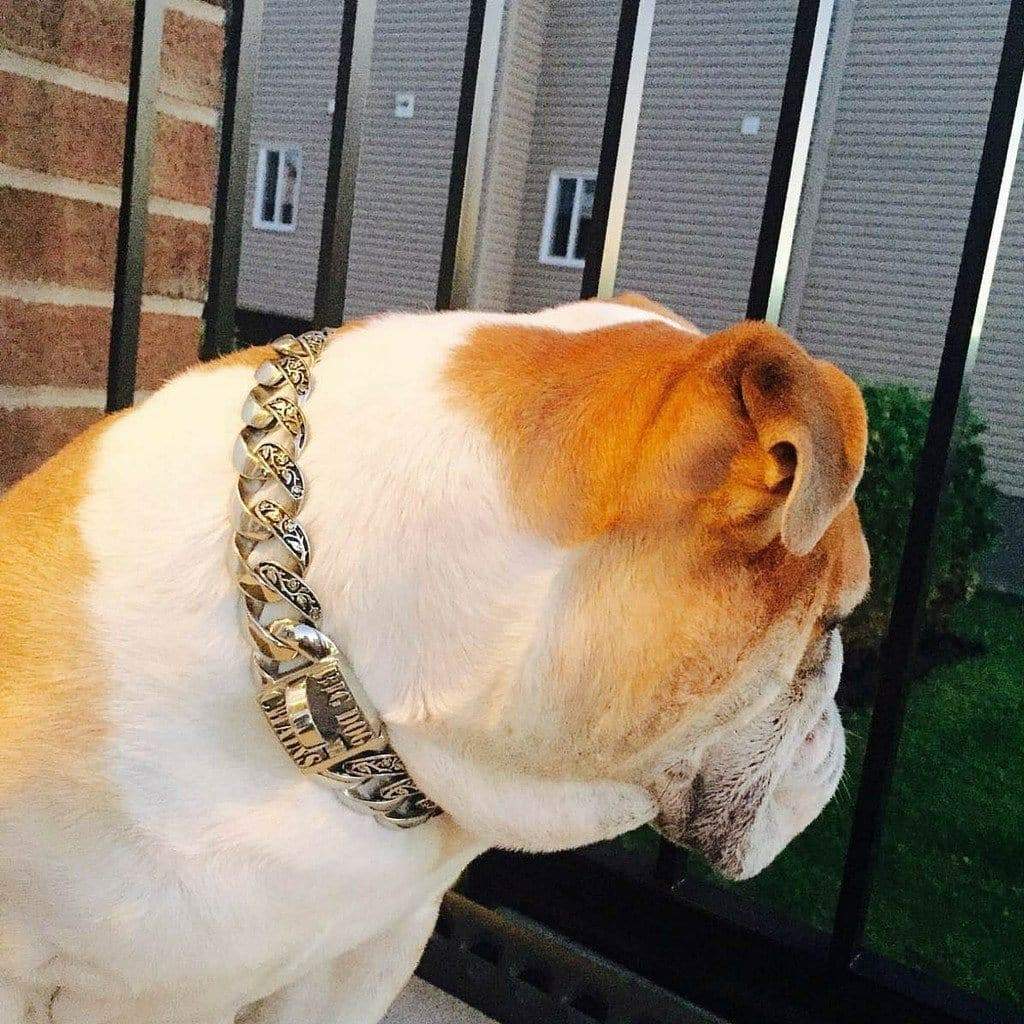 Maui Personalized Dog Collar - BIG DOG CHAINS - 4