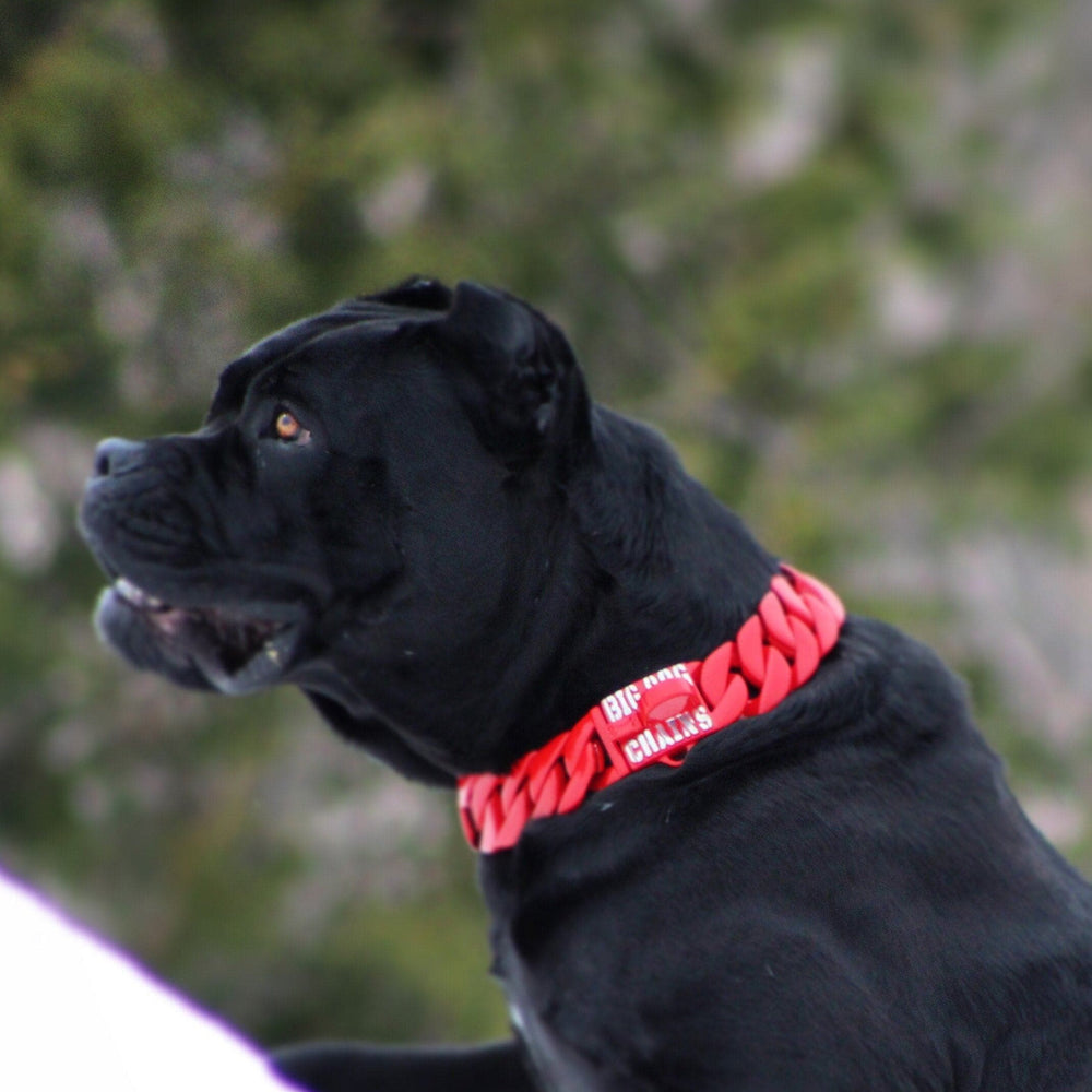The Diablo Custom Luxury Red Dog Collar Strength in Fiery Red - BIG DOG CHAINS®