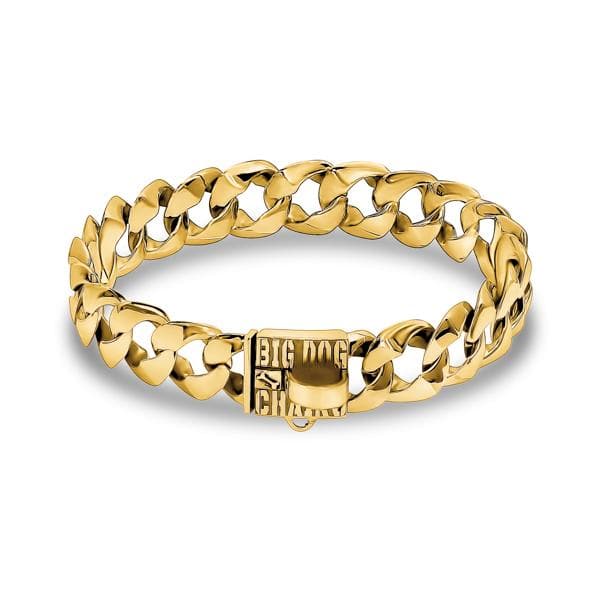 Real gold dog collar new arrivals
