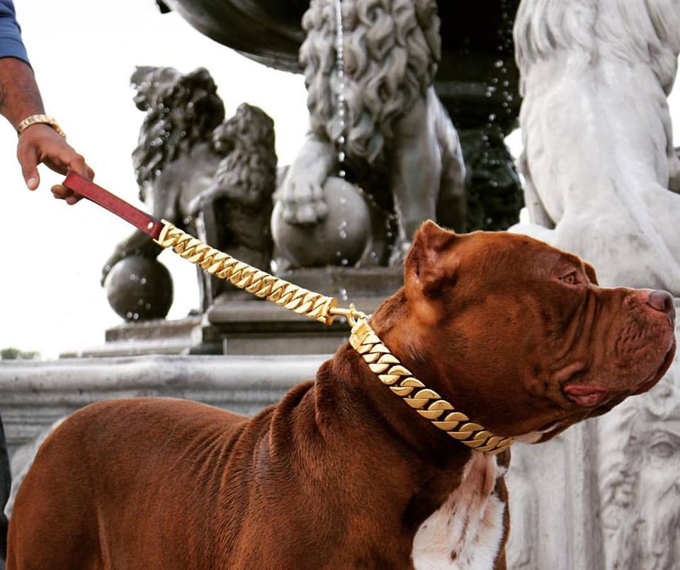 XL Dog Collars 1.25 Inch Width - Extra Large Dogs - BIG DOG CHAINS ...
