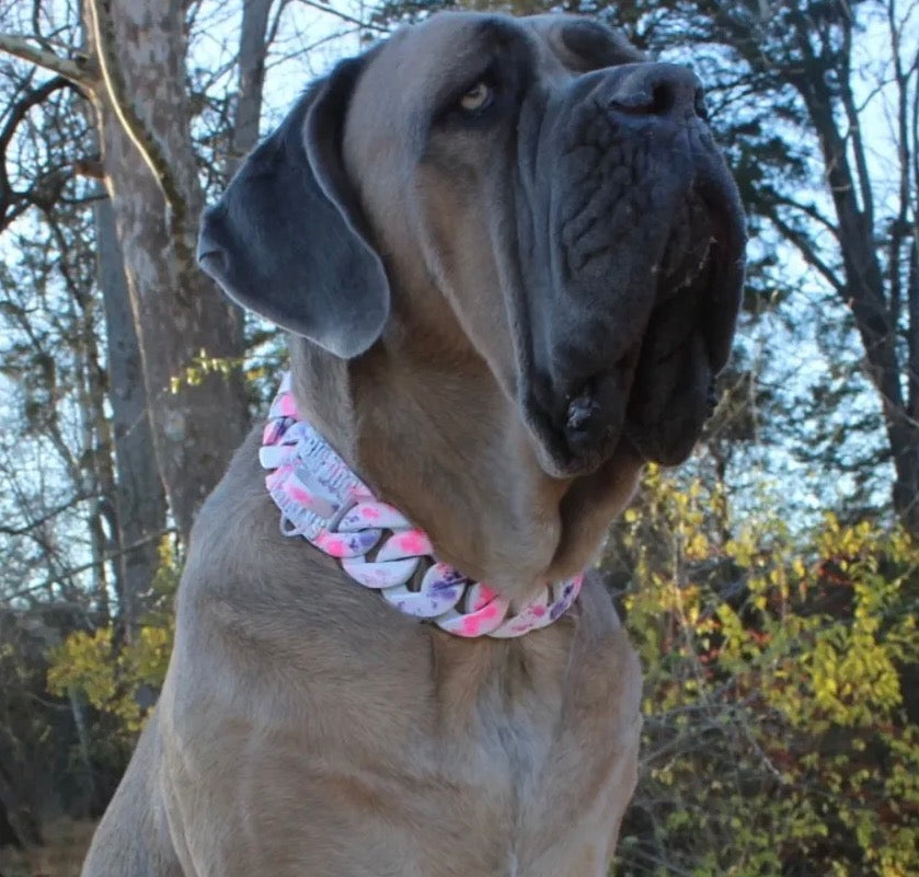 THE SPLASH Dog Collar - Custom 2-Color Cuban Link Premium