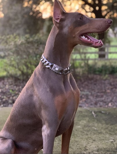 Heavy Duty Stainless Steel Dog Chain Collar – Cuban Training Necklace For Large Dogs