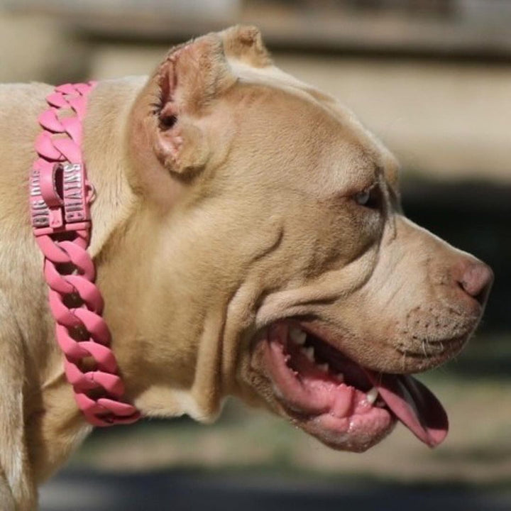 Neon Pink Custom Dog Collar Big Dog Chains 18.5 inch No Slack I Already Added Slack
