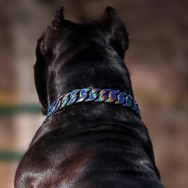 The Orion Black and Gold Flake Iridescent Collar Custom Galaxy Design for Pitbull Rottweiler Cane Corso Bull Mastiff All Breeds - BIG DOG CHAINS®