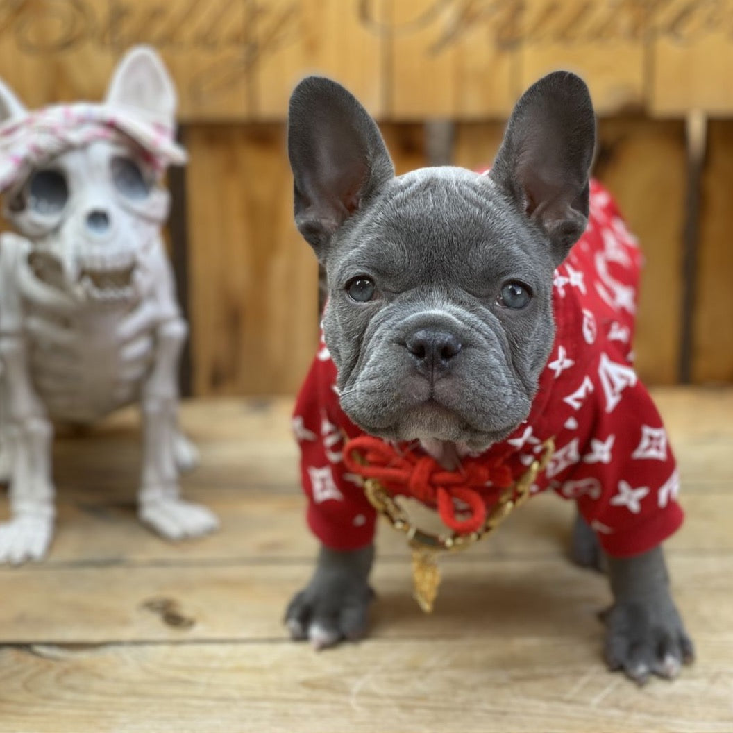 French Bulldog Lv Supreme Dog Collar LV Supreme Black Hoodie