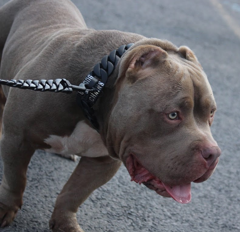 The Hunter Custom Luxury High Quality and Super Strong Black Dog Collar for pitbull_large_dog_collars_Small_Dogs_Collar_Cane_Corso_collars_rottweilerdog_collar_american Bold Black, Maximum Durability  - 4/BigDogChains