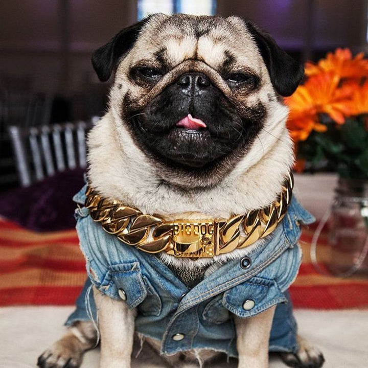 The Kilo Gold Collar: Stand Out from the Crowd with Style - 18/BigDogChains