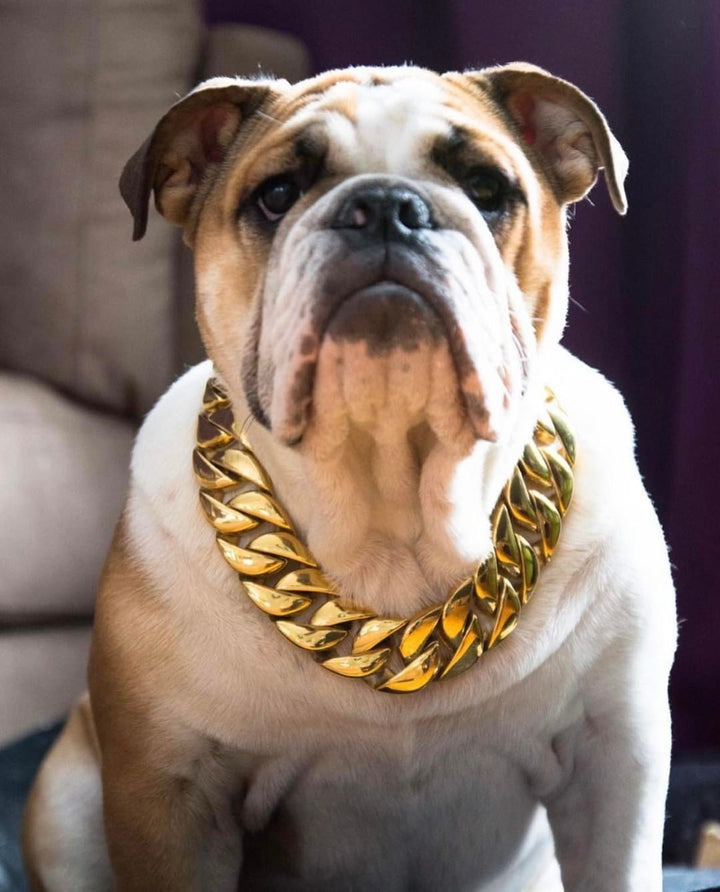 The Kilo Gold Collar: Unmatched Quality for Unforgettable Style - 28/BigDogChains