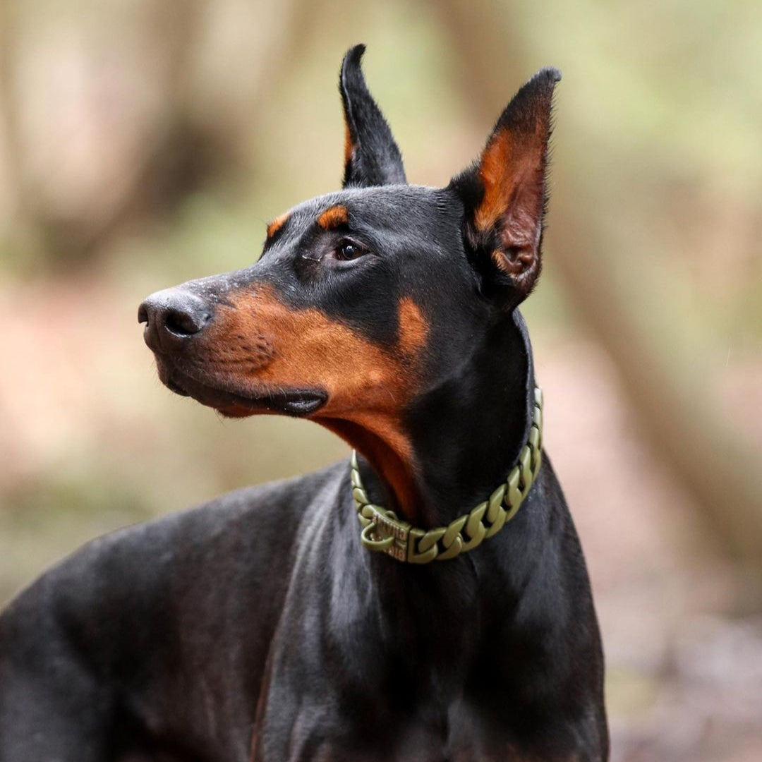 Collier pour chien à maillons cubains vert de l'armée marine - BIG DOG  CHAINS – BIG DOG CHAINS ®, image size:1080x1080