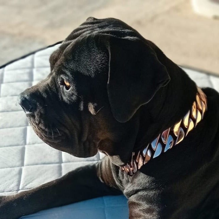 Big dog chains luxury dog collars hot sale