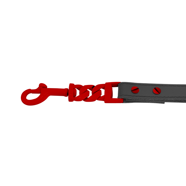 Enzo Dog Leash
