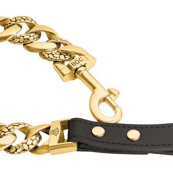 Gold dog leash top