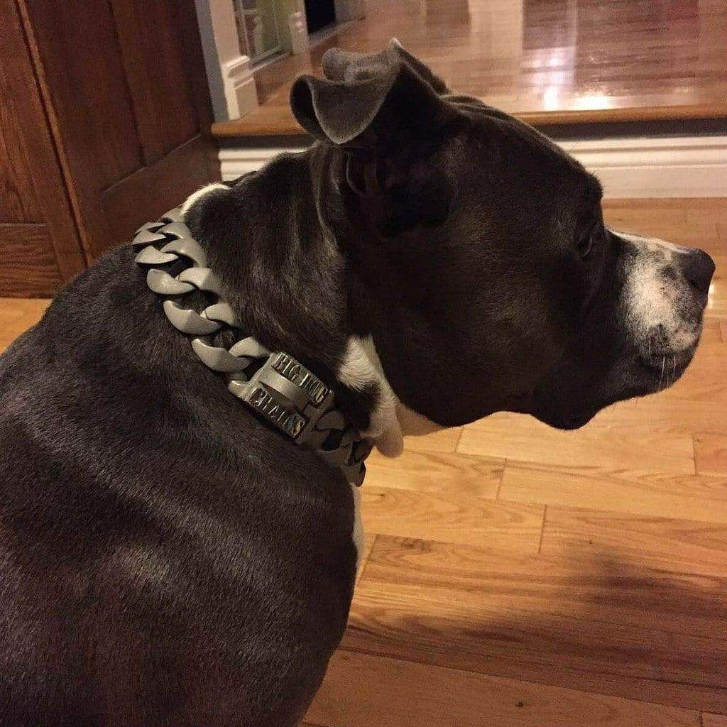 Commander Custom Dog Collar - BIG DOG CHAINS - 2