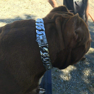 Caesar XL Large Dog Collar - BIG DOG CHAINS - 4