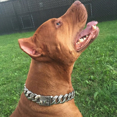 Maui Custom Dog Collar - BIG DOG CHAINS - 7