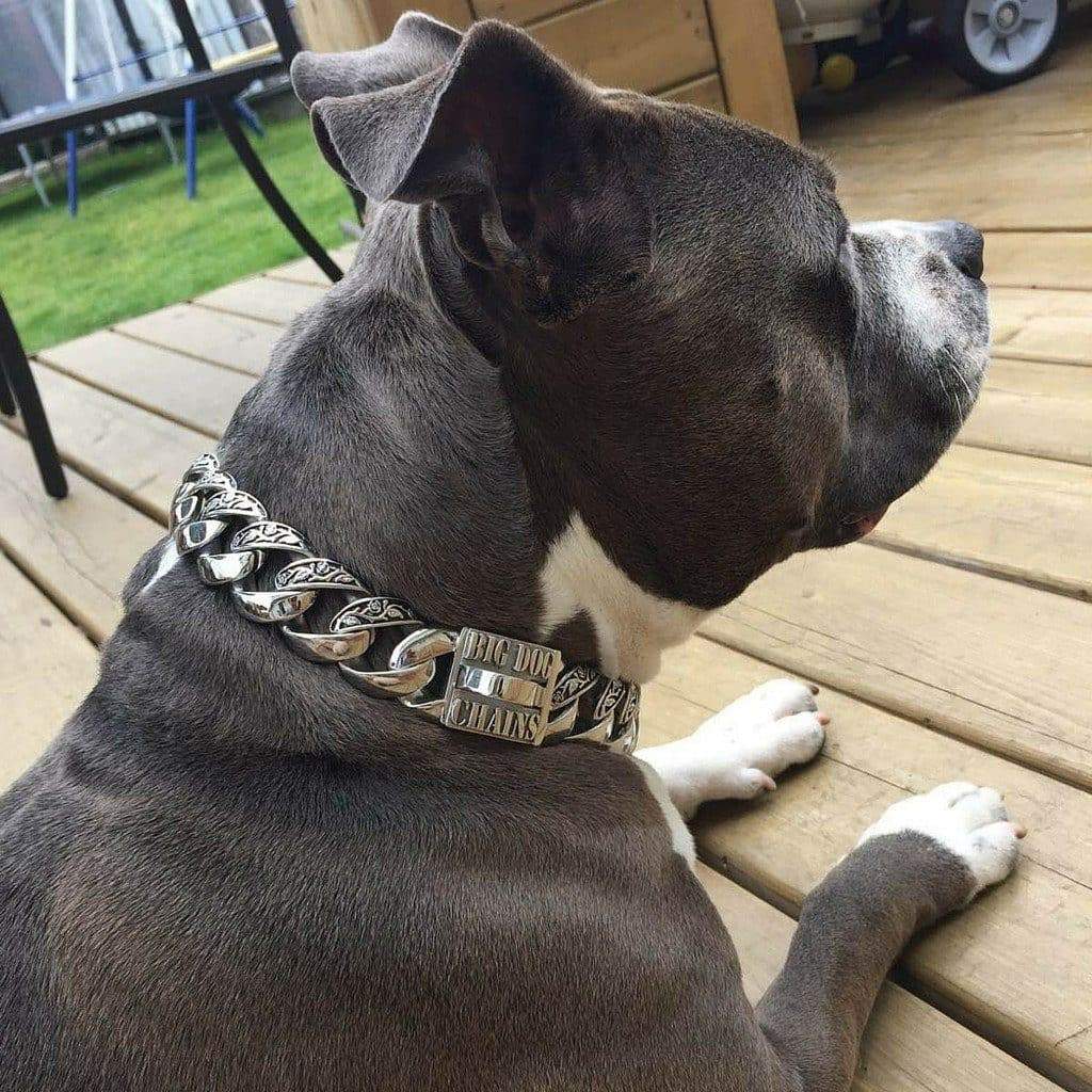 Maui Personalized Dog Collar - BIG DOG CHAINS - 6