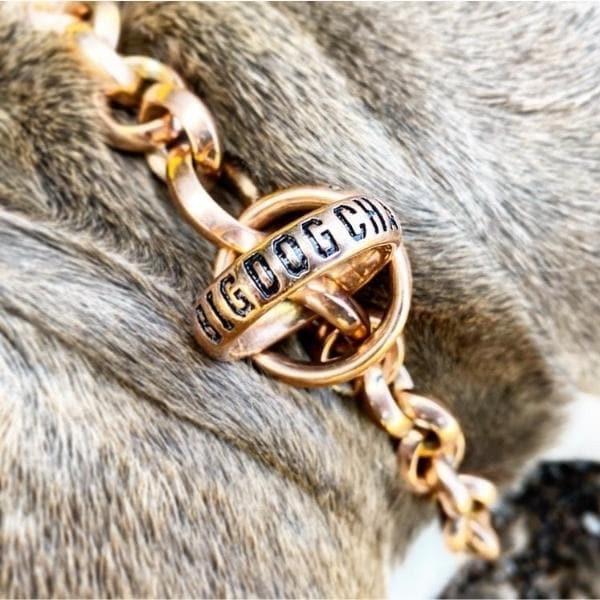 CHECKO_Gold_Training_Collar_Unique_Stainless_Steel_Link_Design_Super_Strong_Chocker_for_Large_XL_Dogs_Like_XL_Bully_Rottweiler_Great_Dane_Labrador_Presa_Canario_and_More_BIIG_DOG_CHAINS