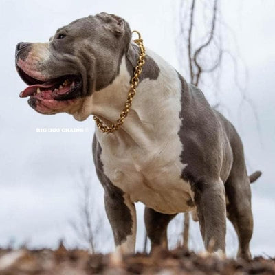 CHECKO_Unique_Choker_Collar_for_Large_and_Strong_Dogs_Like_Pit_Bulls_XL_Bully_and_More_BIG_DOG_CHAINS