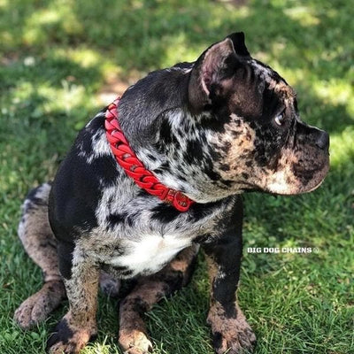 ENZO_Red_Luxury_Cuban_Link_Dog_Collar_Custom_Red_Stainless_Steel_High_Quality_and_Super_Strong_Collar_for_Large_XL_Dogs_like_Pit_Bull_XL_Bully_Rottweiler_Cane_Corso_Presa_Canario_BIG_DOG_CHAINS