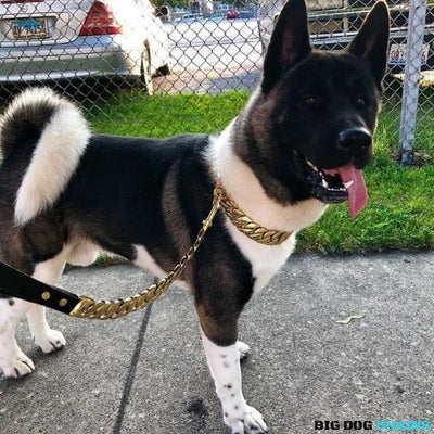 KILO_Gold_Cuban_Link_Collars_for_Large_XL_Dogs_for_Super_Strong_Dogs_Made_of_Stainless_Steel_with_Custom_Gold_Fully_Functional_Dog_Jewelry_BIG_DOG_CHAINS