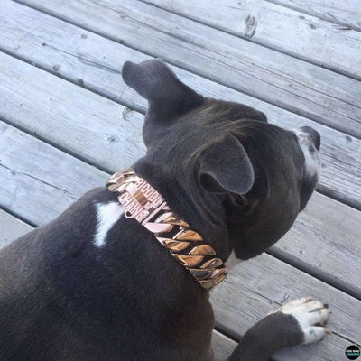KILO Rose Gold Cuban Link Dog Collars for Strong Stylish Unique Dogs - BIG DOG CHAINS