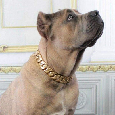 KILO gold dog collar custom gold cuban link stainless steel luxury designer dog collar large - BIG DOG CHAINS - 13
