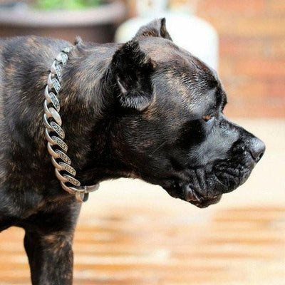 MAUI high quality stainless steel polished dog collars custom floral finish luxury designer dog collar large - BIG DOG CHAINS