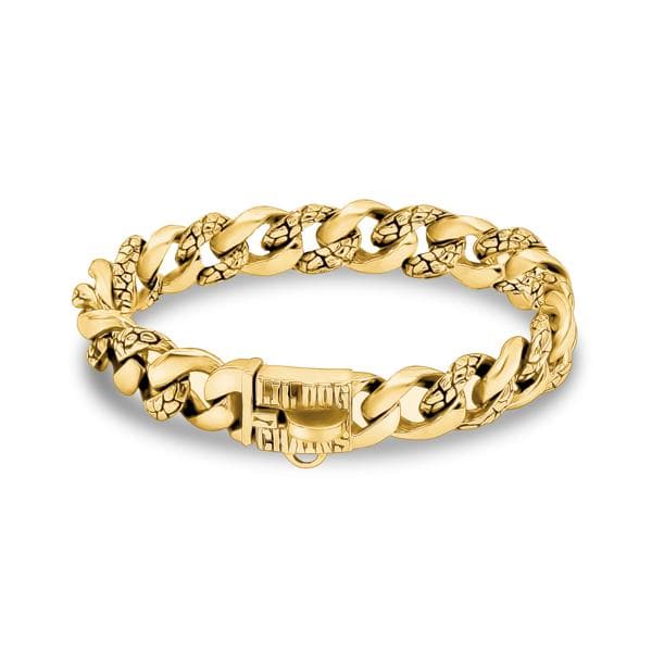 NUGGET_Small_Gold_Dog_Collar_for_Dogs_Under_10_Pounds_Curb_Link_with_Rock_Inlay_Finish_Luxury_Gold_Collar_Perfect_for_Puppy_or_Small_Chihuahua_and_More_BIG_DOG_CHAINS
