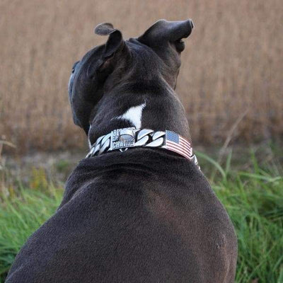 PATRIOT_US_Flag_Collar_Custom_Made_for_Large_Dogs_BIG_DOG_CHAINS