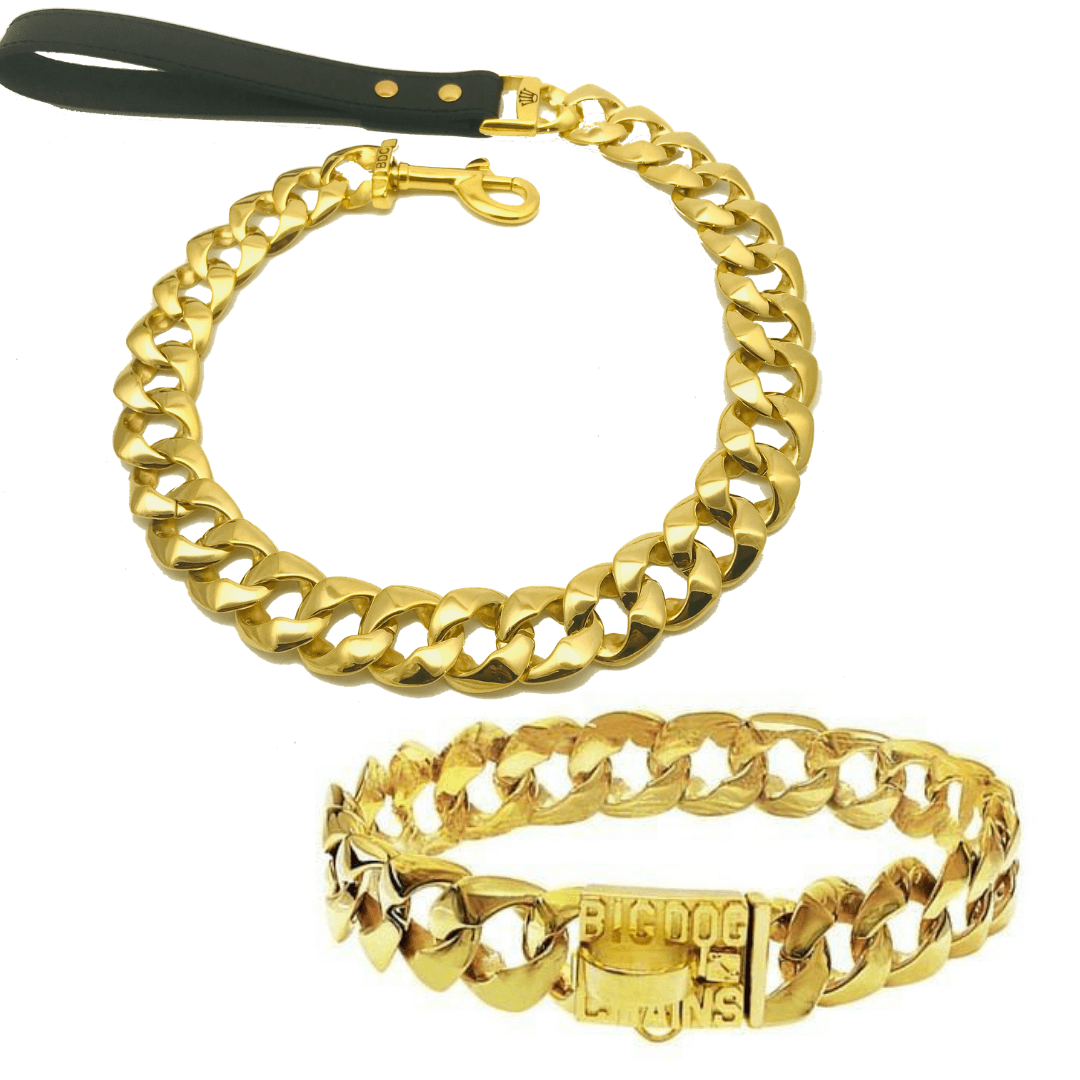 R.I.C.O. GOLD DOG COLLAR & LEASH COMBO | BIG DOG CHAINS 