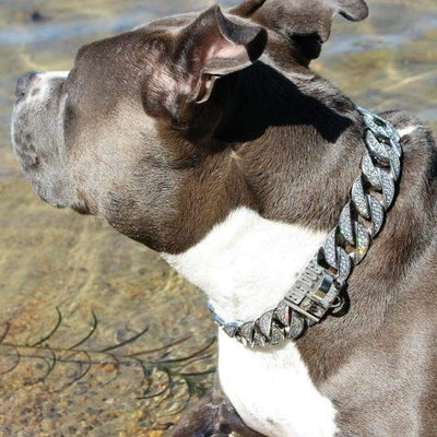 THE ICE, Cuban Link Iced Out Dog Collar Full Custom Dog Jewelry for Large and Strong Dog Collar Pit Bull Bully XL Collar - BIG DOG CHAINS
