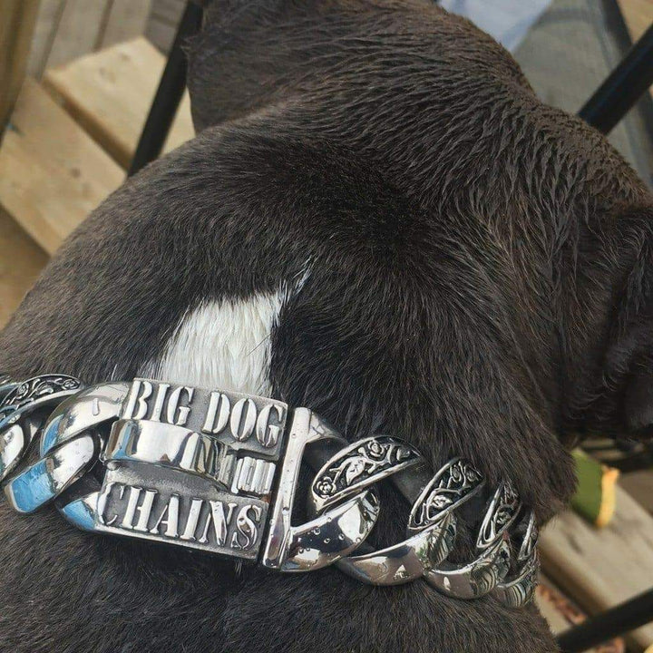 THE MAUI Stainless Dog Collar for pitbull_large_dog_collars_Cane_Corso_collars_rottweilerdog_collar_Bull_Mastiff_metal_collar Sophisticated & Stylish   - 5/BigDogChains