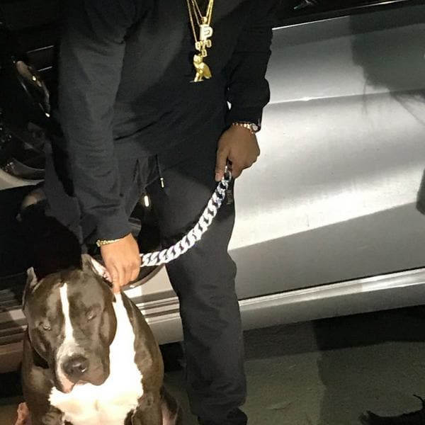 THE DRIP Iced Out Cuban Link Dog Collar for Strong and Large Dogs Full Custom Dog Jewelry Welcome OVO Photoshoot Toronto - BIG DOG CHAINS