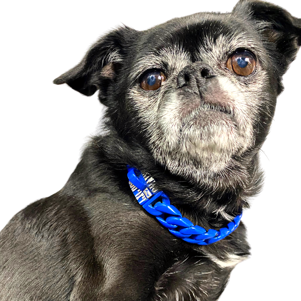 The Cobalt Custom Luxury High Quality and Super Strong Blue Dog Collar for French Bulldog Shih Tzu Corgi Dachshund Beagle Custom Crafted for Luxury and Durability
 - 2/LilDogChains/BigDogChains