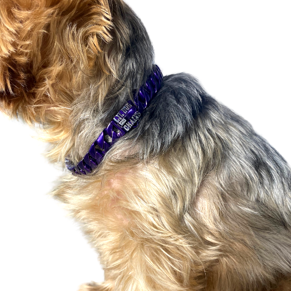 THE HAZE Candy Purple Cuban Link Small Dog Collar 9-18 Inch - BIG DOG ...