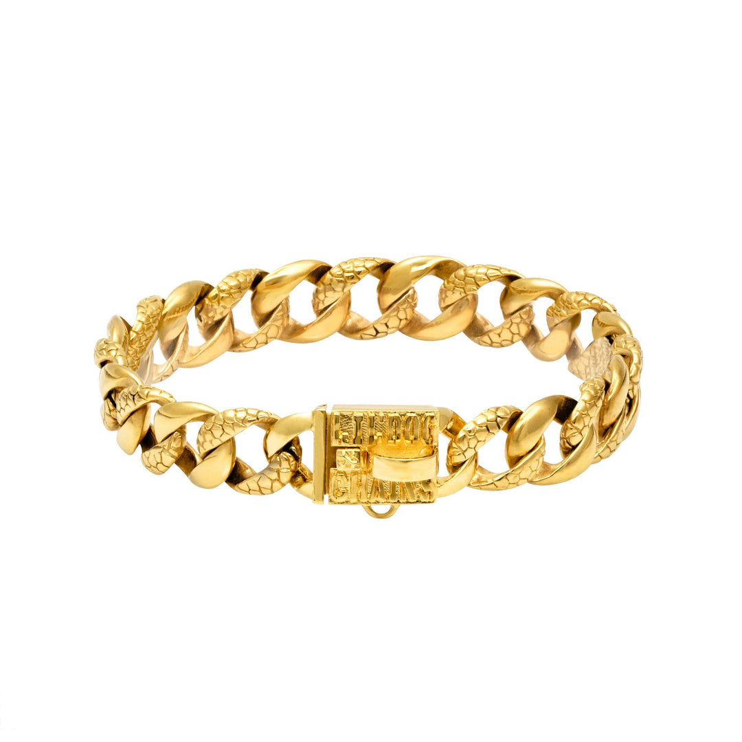 The Knox 0.75 Inch Gold Rock Inlay Curb Link Dog Collar for Small Dogs 7-14 Inch Neck Premium Quality - BIG DOG CHAINS®