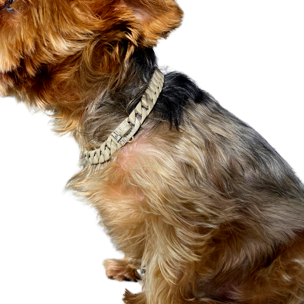 
The Latte Custom Luxury High Quality and Super Strong Brown Dog Collar for French Bulldog Shih Tzu Corgi Dachshund Beagle Luxury Meets Enduring Strength
 - 2/LilDogChains/BigDogChains