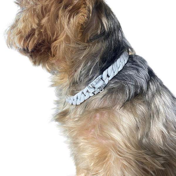 The Lil Havana Custom Luxury High Quality and Super Strong White Dog Collar for French Bulldog Shih Tzu Corgi Dachshund Beagle Timeless Elegance and Robustness
 - 2/LilDogChains/BigDogChains