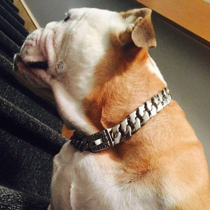 The Magnum Dog Collar Custom_Luxury_Stainless_steel for pitbull_large_dog_collars_Cane_Corso_collars_rottweilerdog_collar_american bully Bold Design, Unbreakable Strength  - 5/BigDogChains