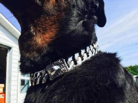 The Magnum Dog Collar Custom_Luxury_Stainless_steel for pitbull_large_dog_collars_Cane_Corso_collars_rottweilerdog_collar_american bully Power, Precision, and Durability  - 6/BigDogChains