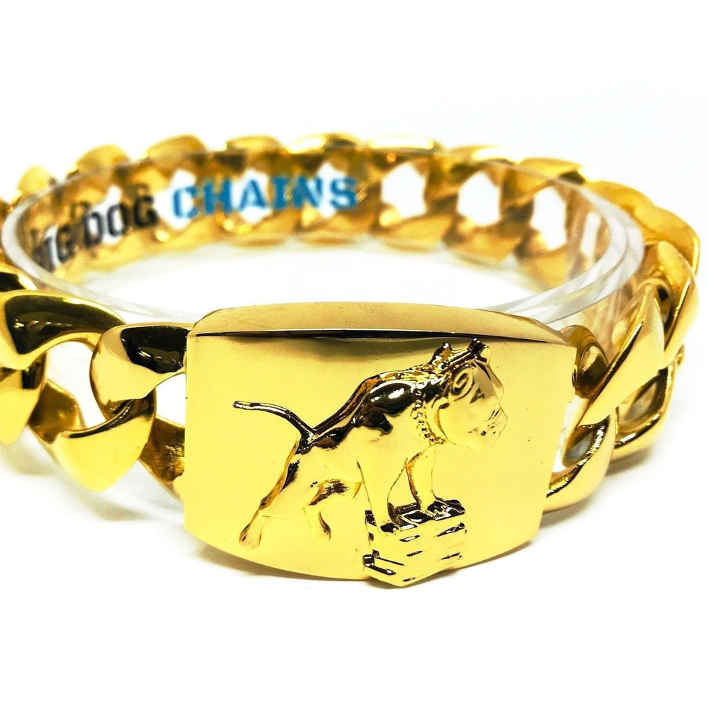 The RICO Custom 3D ID Link Personalized Design for CJ SO COOL Celebrity Dog Collar - BIG DOG CHAINS®